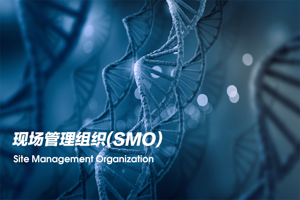 现场管理组织（Site Management Organization，，，，SMO）